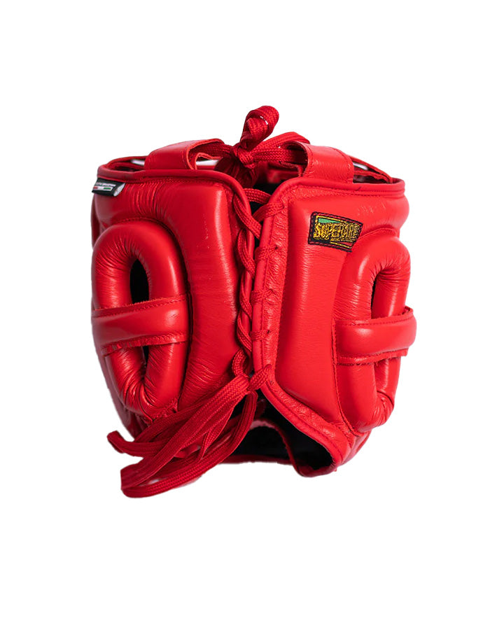 S430 Full Face Boxing Headgear