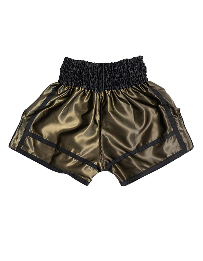 One Series Muay Thai Shorts 2.0